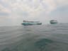 Keluarga menikmati perahu kater warna-warni di Pantai Serdang